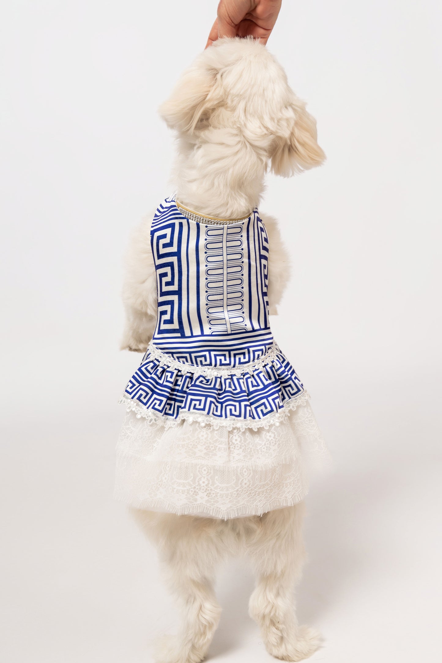 Santorini Girl