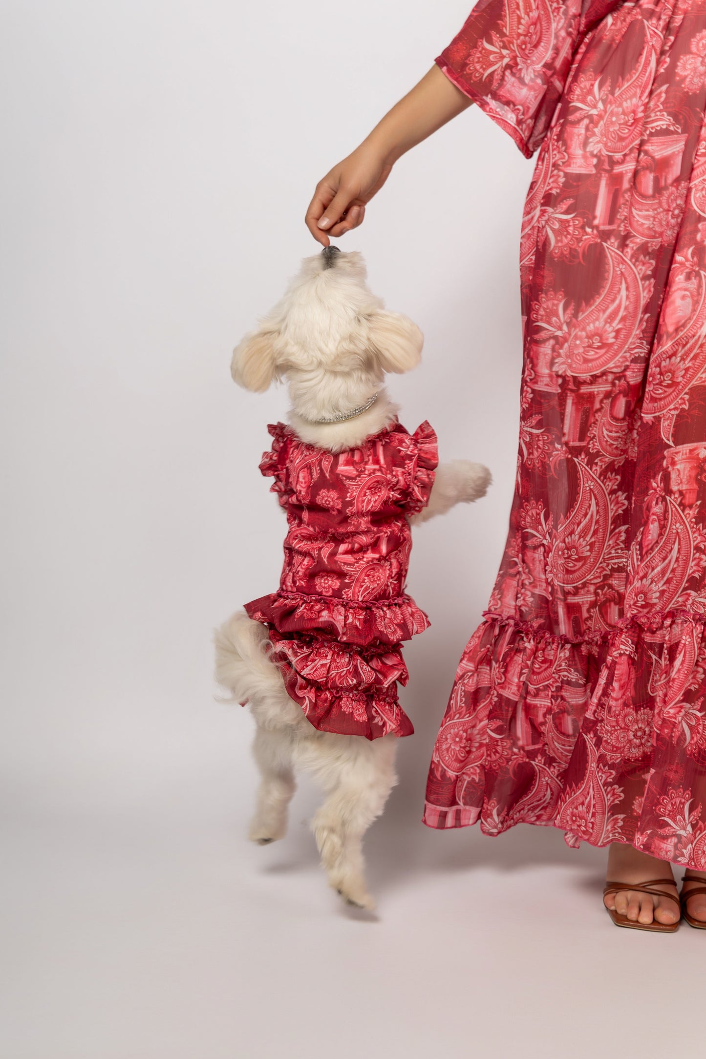 Athena paisley Dress