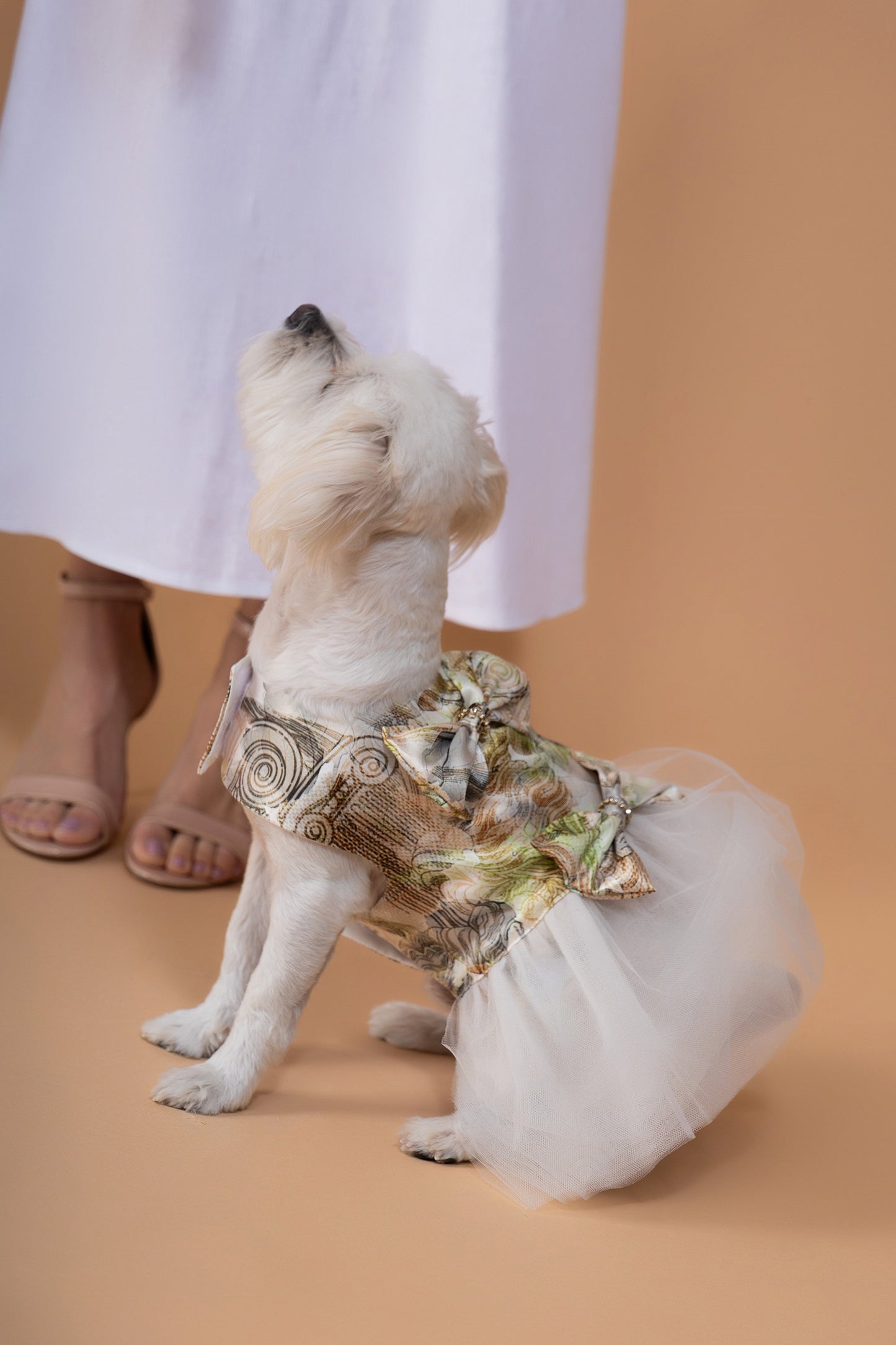 Chloris Chic
