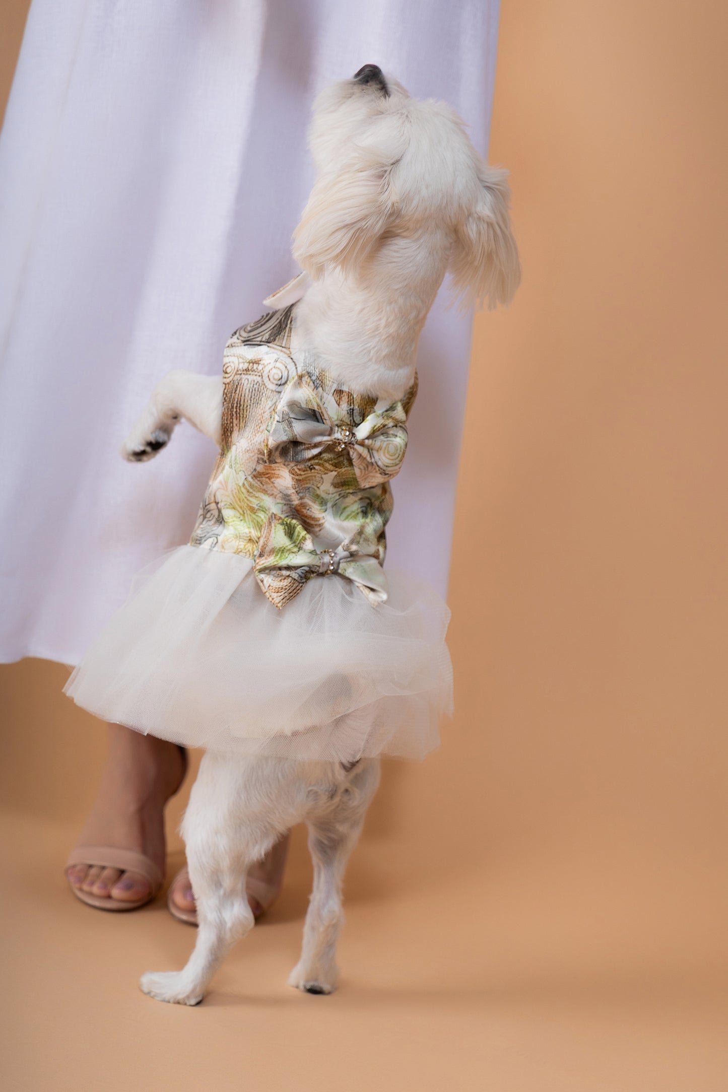 Chloris Chic