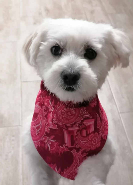 Athena Paisley Bandana  Fouchia